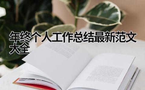 年终个人工作总结最新范文大全 (18篇）