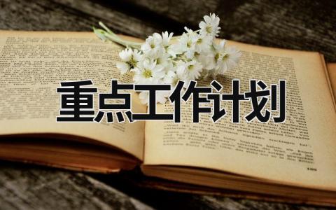 重点工作计划 (19篇）