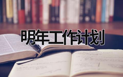 明年工作计划 (17篇）