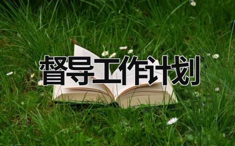 督导工作计划 (19篇）