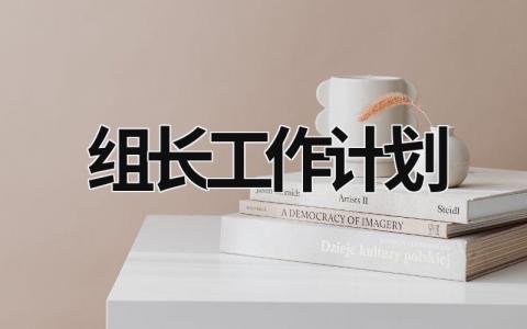 组长工作计划 (21篇）