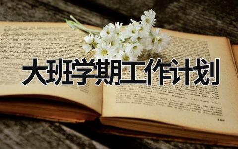 大班学期工作计划 (21篇）