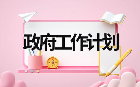 政府工作计划 (21篇）