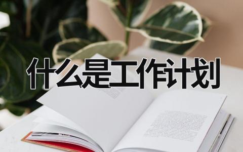 什么是工作计划 (17篇）