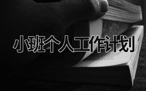 小班个人工作计划 (20篇）