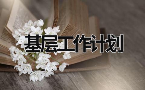 基层工作计划 (16篇）