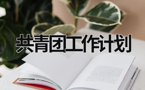 共青团工作计划 (21篇）