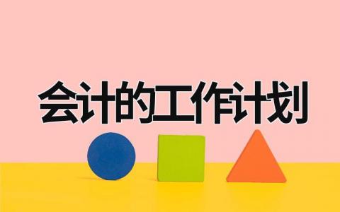 会计的工作计划 (20篇）