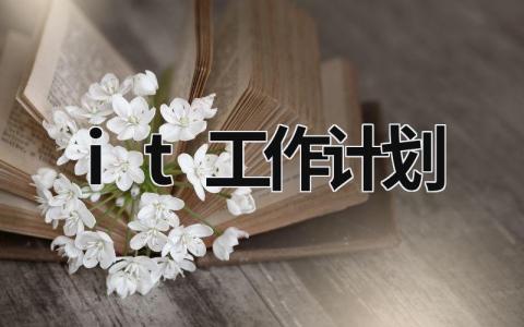 it工作计划 (18篇）