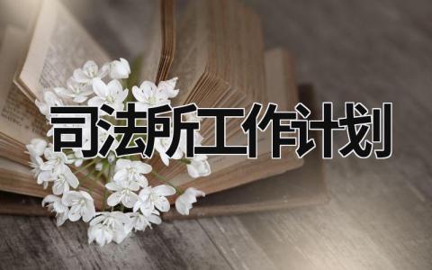 司法所工作计划 (13篇）