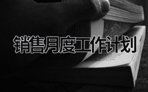 销售月度工作计划 (16篇）