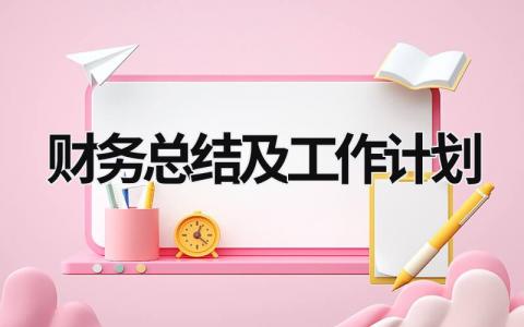 财务总结及工作计划 (13篇）