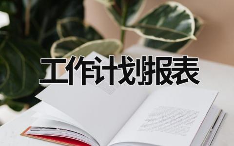 工作计划报表 (18篇）