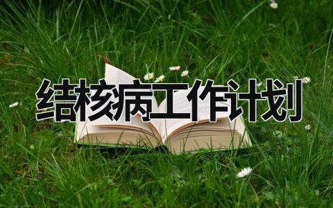 结核病工作计划 (10篇）