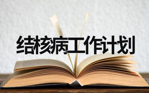 结核病工作计划 (13篇）