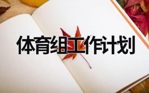 体育组工作计划 (18篇）