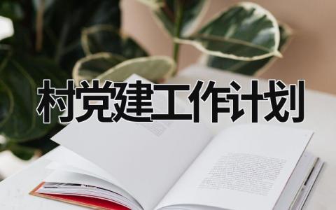 村党建工作计划 (15篇）