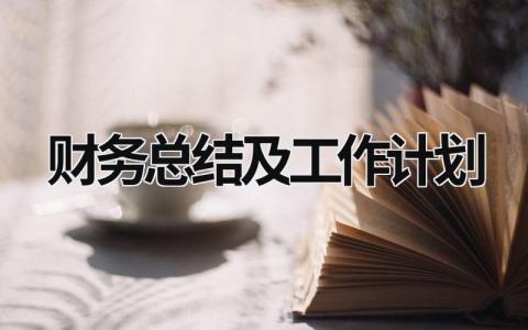 财务总结及工作计划 (18篇）