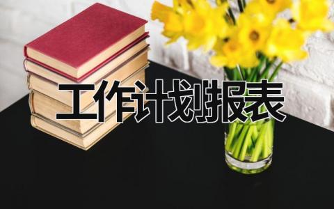 工作计划报表 (21篇）