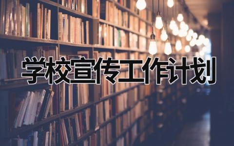 学校宣传工作计划 (16篇）