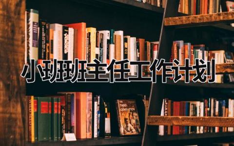 小班班主任工作计划 (19篇）