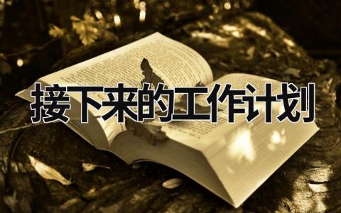 接下来的工作计划 (20篇）