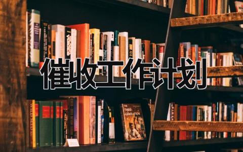 催收工作计划 (19篇）