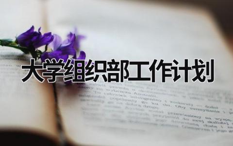 大学组织部工作计划 (21篇）