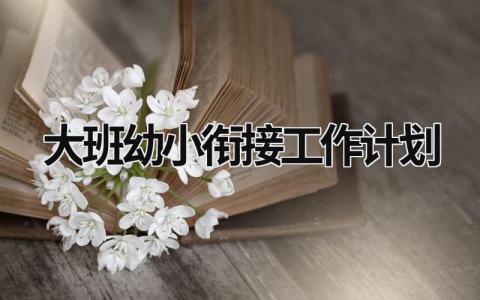 大班幼小衔接工作计划 (13篇）