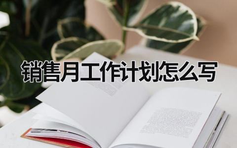 销售月工作计划怎么写 (19篇）