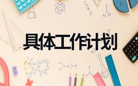 具体工作计划 (21篇）