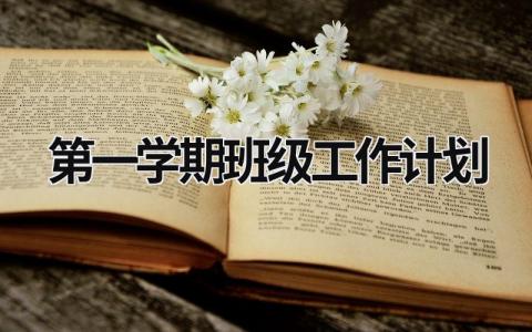 第一学期班级工作计划 (19篇）