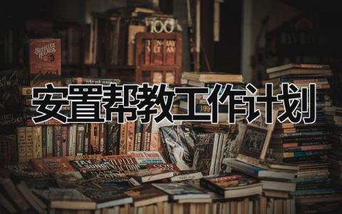 安置帮教工作计划 (11篇）