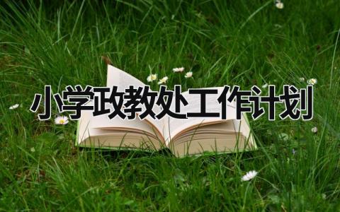 小学政教处工作计划 (15篇）