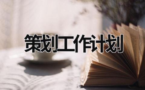 策划工作计划 (17篇）