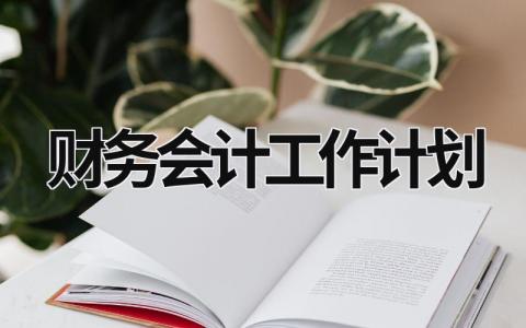 财务会计工作计划 (21篇）