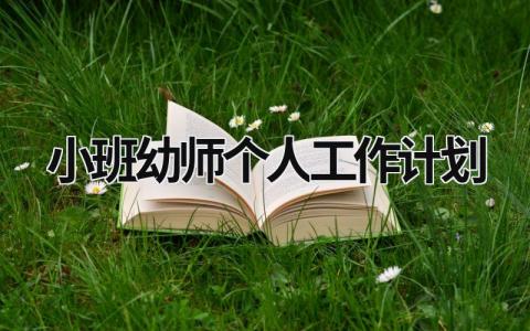 小班幼师个人工作计划 (18篇）