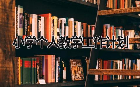 小学个人教学工作计划 (17篇）