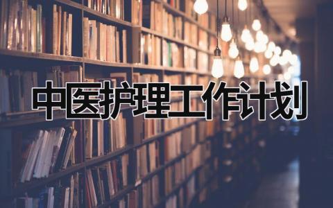 中医护理工作计划 (14篇）