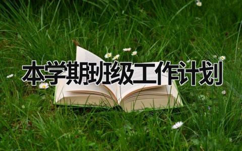 本学期班级工作计划 (17篇）