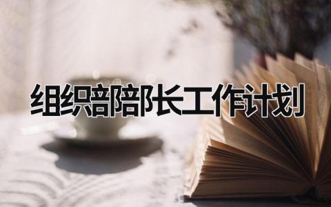 组织部部长工作计划 (19篇）