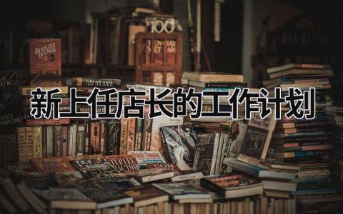 新上任店长的工作计划 (18篇）