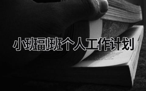 小班副班个人工作计划 (18篇）