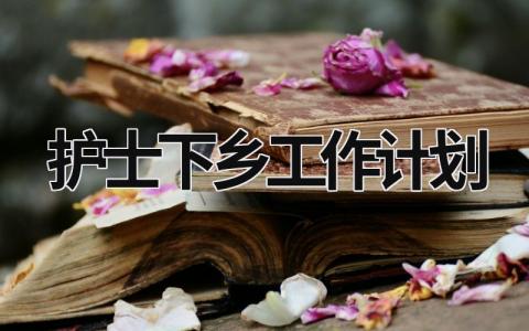 护士下乡工作计划 (17篇）