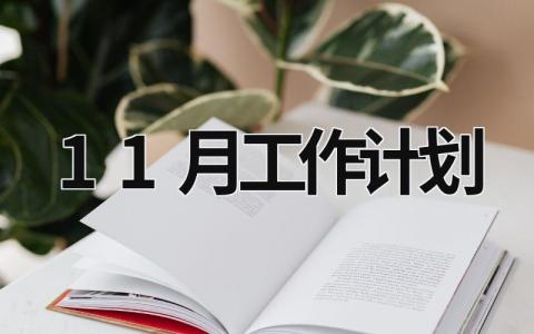 11月工作计划 (17篇）