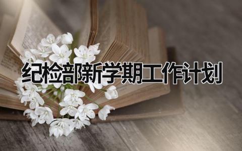 纪检部新学期工作计划 (18篇）