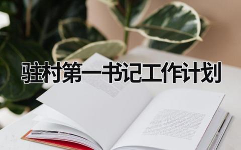 驻村第一书记工作计划 (13篇）