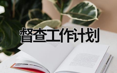 督查工作计划 (16篇）