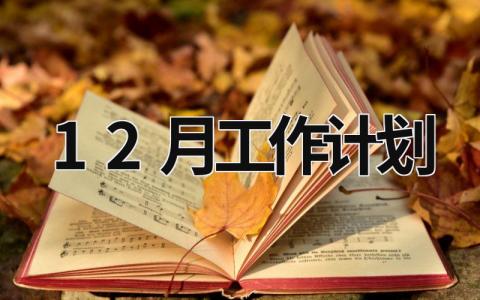 12月工作计划 (16篇）