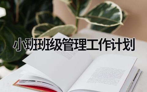 小班班级管理工作计划 (16篇）